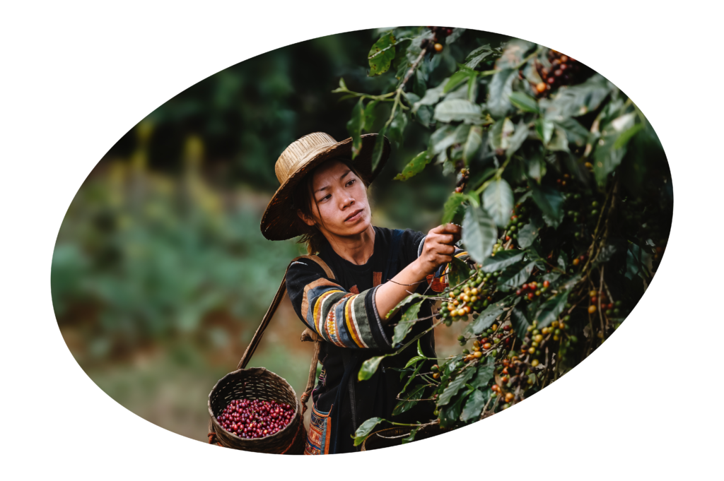 Authenticity from the identity of the growing regions