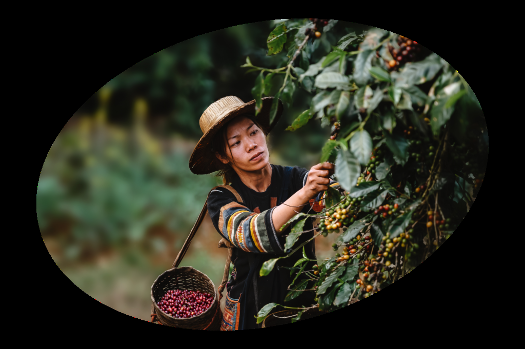 Authenticity from the identity of the growing regions